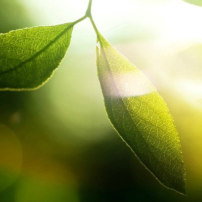 1920 x 1080 HD Wallpapers 2402